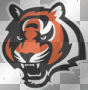 bengals