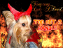 Roxy Tempting Devil Girl!