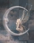 Fairy on a Moon