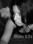 elfa