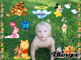 WINNIE THE POOH 