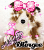 cutie collie