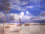 desert landscape