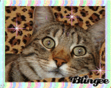 BUBBA BOOPSTER HERE
