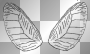 fairy wings
