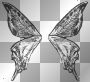 black and white butterfly wings