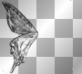 right butterfly wing black and white