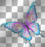 purple & aqua butterfly