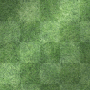 grass