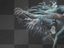 resident evil