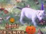 dejah halloween
