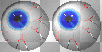 frantic eyes