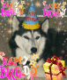 BIRTHDAY ANGEL