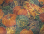 Thanksgiving Harvest