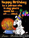 Birthday dog Birthday dog