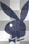 playboy