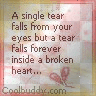 <<TeAr>>