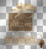 WELCOME CAT