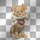puppy with bone