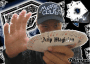 arip_magic