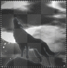 wolfs rain