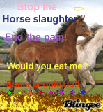 Horse slaughter
