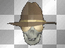 skull