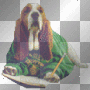 Basset Hound Writing