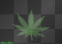 weed animation