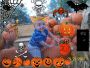 Happy Halloween!