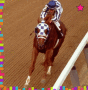 Secretariat, the all time best race horse!! Secretariat, the all time best race horse!!