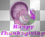 HAPPY THANKSGIVING