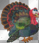 TURKEY