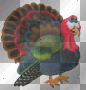 TURKEY