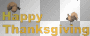 HAPPY THANKSGIVING