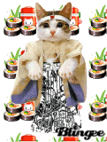 kimono kitty kimono kitty