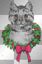 Holiday Kitty