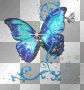 mariposita
