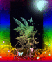 Rainbow fairy