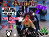 the gang