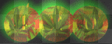 420 stoner
