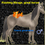 Flashing Mirage
