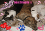 my babies!!!