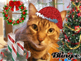 Huggy wish