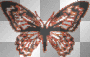 papillon rouge