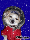 babie in coat
