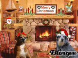 Blingee