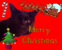 samuel_xmas