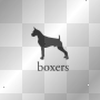 Boxers
