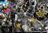 THE BOMB BUTTERFLIES